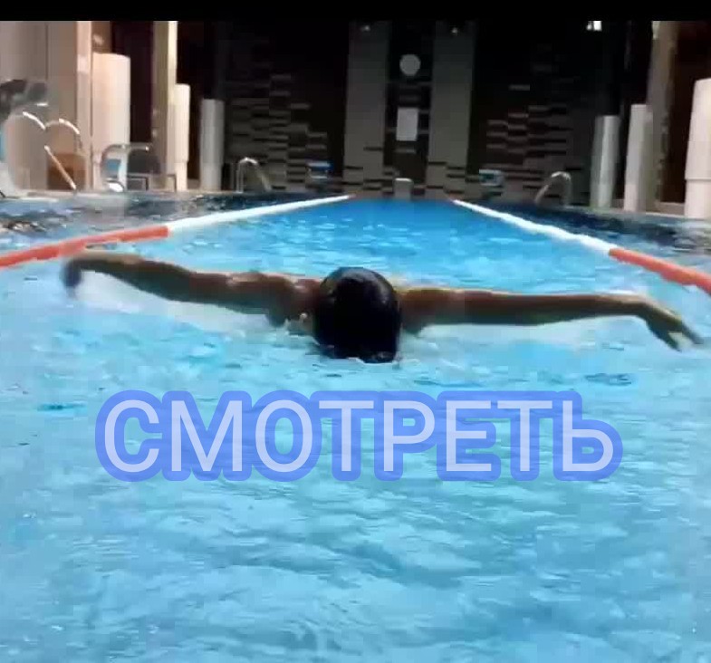 Индивидуальная тренировка по плаванию в бассейне отеля Лесная рапсодия с DenSI swimming club