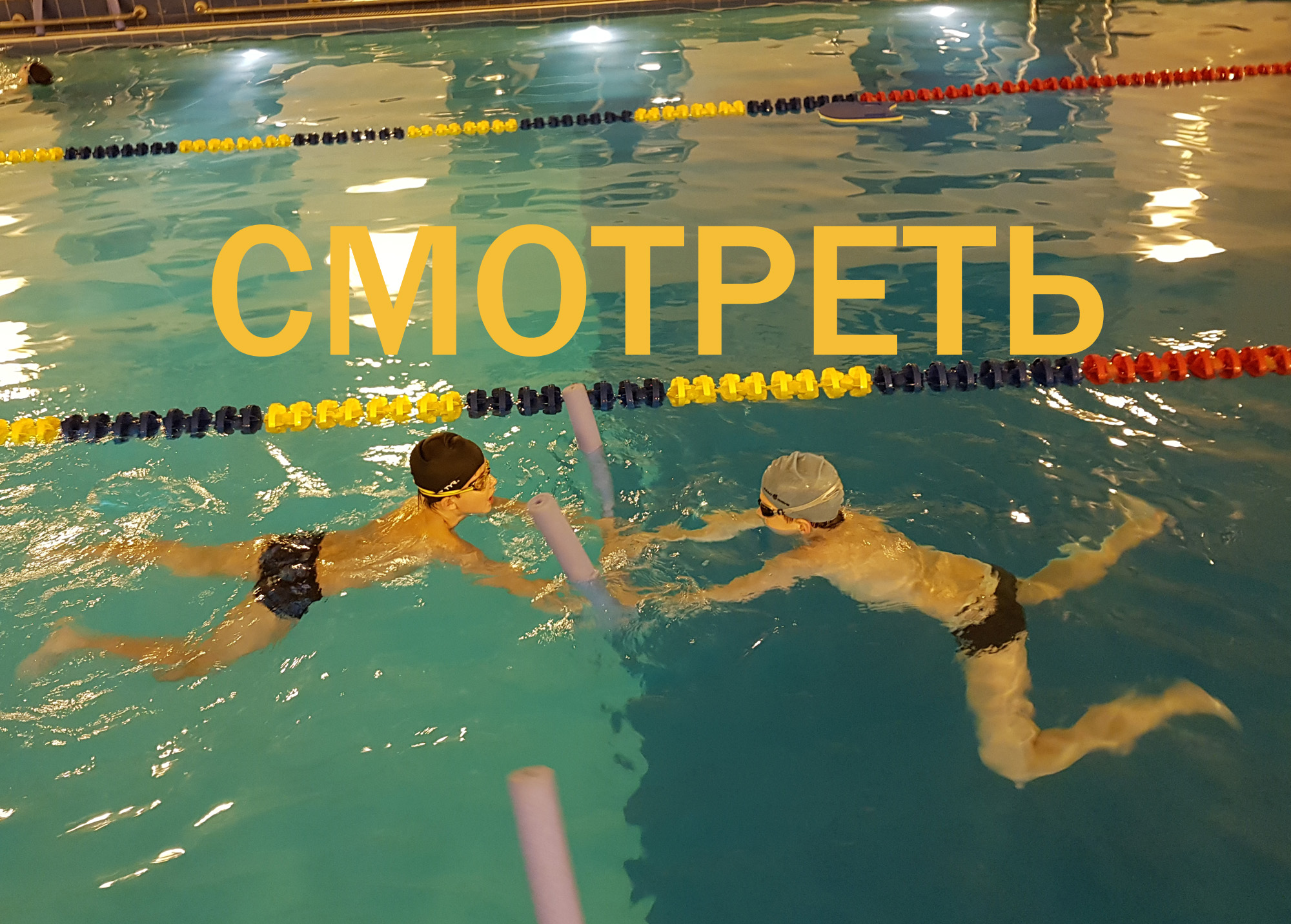 тренировка по плаванию в бассейне Сестрорецкий Курорт с DenSI swimming club